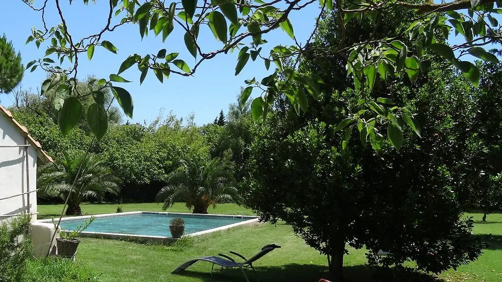 Mas De Bouvet En Camargue Bed & Breakfast Albaron
