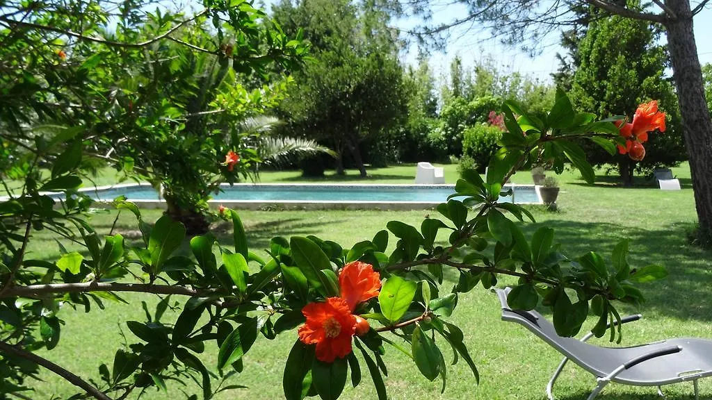 Mas De Bouvet En Camargue Bed & Breakfast Albaron 0*,  France