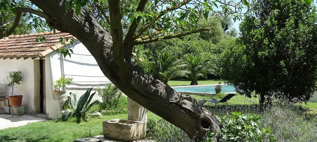 Mas De Bouvet En Camargue Bed & Breakfast Albaron