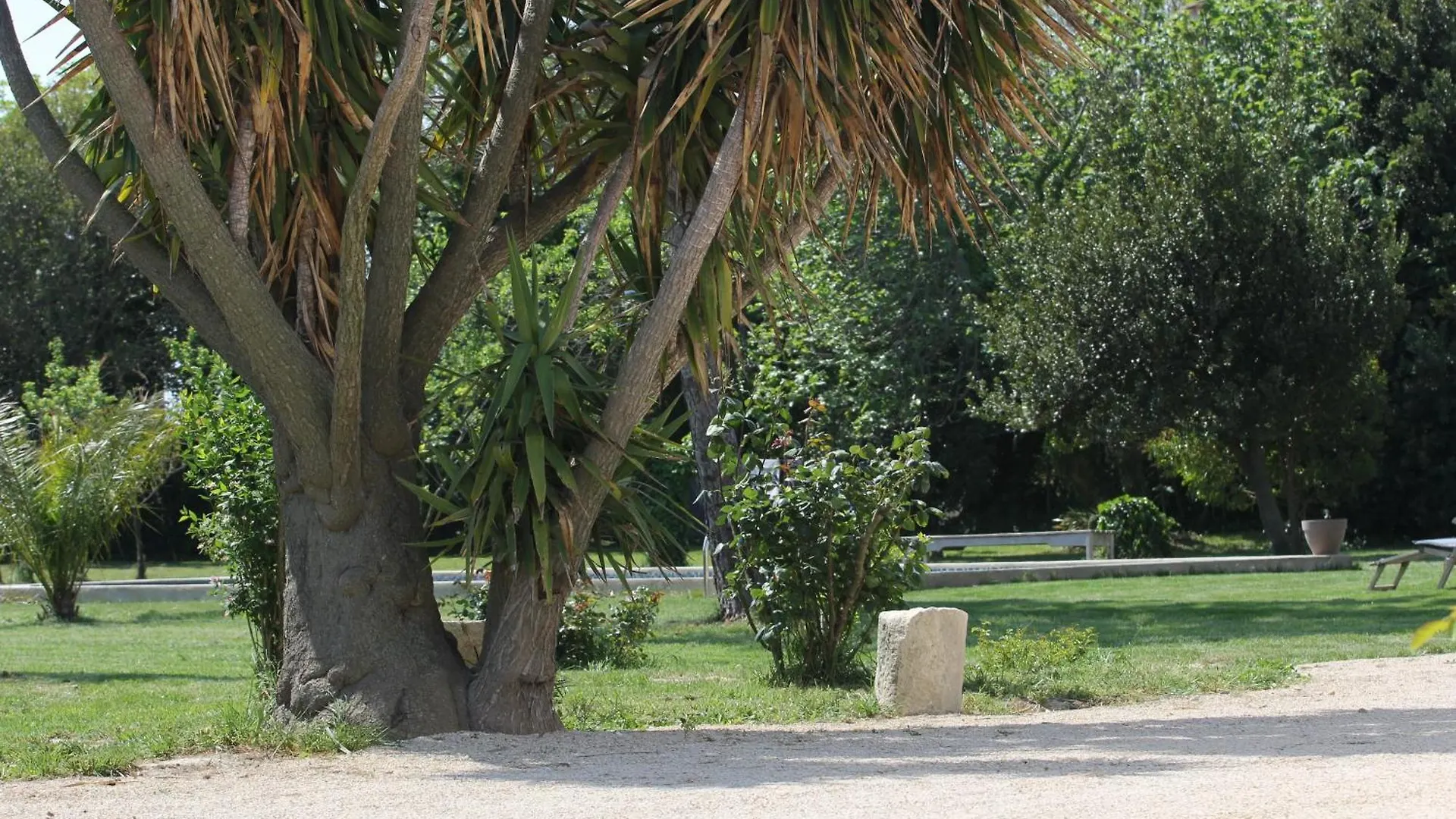 Mas De Bouvet En Camargue Bed & Breakfast Albaron France