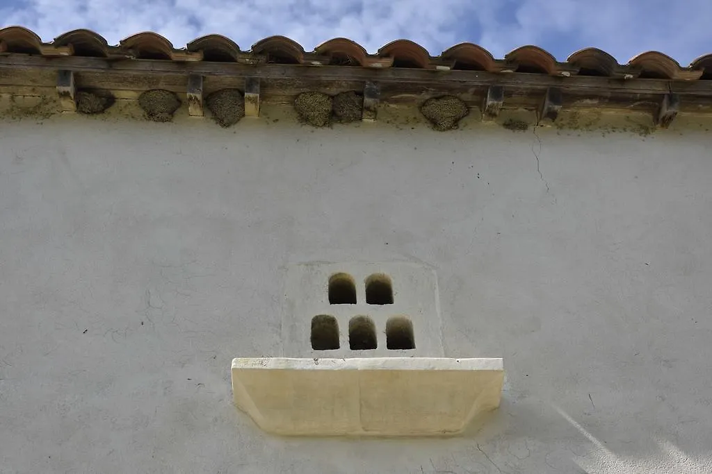 Mas De Bouvet En Camargue Bed & Breakfast Albaron