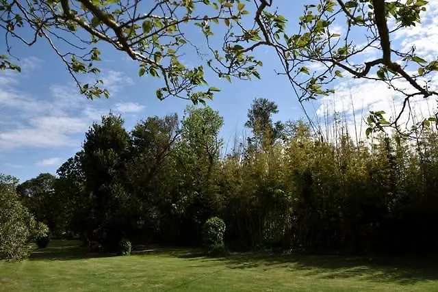 Mas De Bouvet En Camargue Bed & Breakfast Albaron