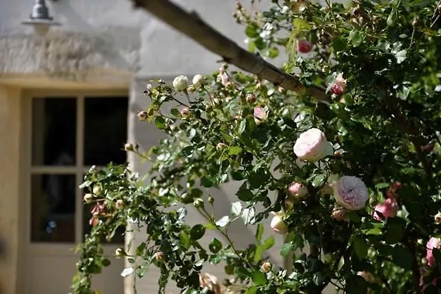 Mas De Bouvet En Camargue Bed & Breakfast Albaron 0*,