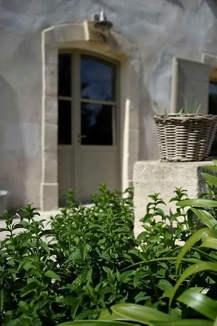 Mas De Bouvet En Camargue Bed & Breakfast Albaron